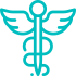 Medical Care Icon